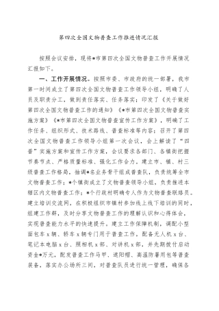 第四次全国文物普查工作推进情况汇报