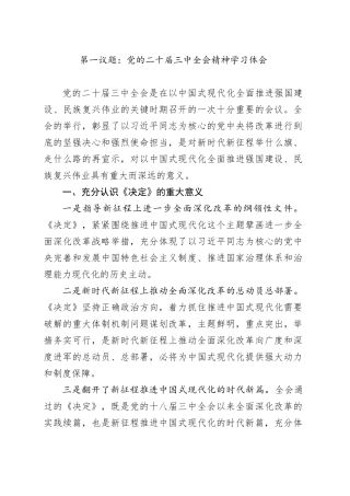 第一议题：党的二十届三中全会精神学习体会