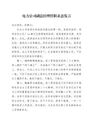 电力公司副总经理任职表态发言