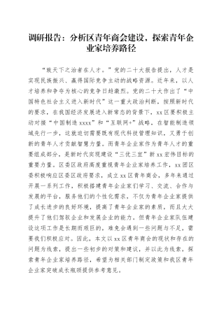 调研报告：分析区青年商会建设，探索青年企业家培养路径