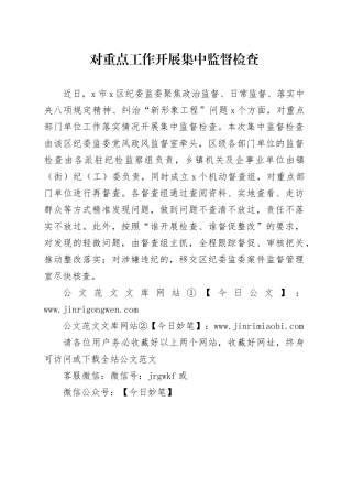 对重点工作开展集中监督检查