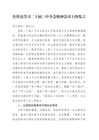 二十届三中全会精神会议上的发言2000