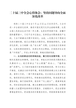 二十届三中全会心得体会：坚持问题导向 全面深化改革交流发言研讨讲话20240731