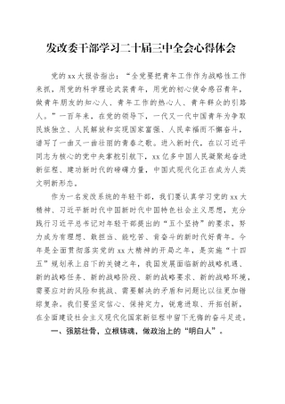 发改委干部学习二十届三中全会心得体会