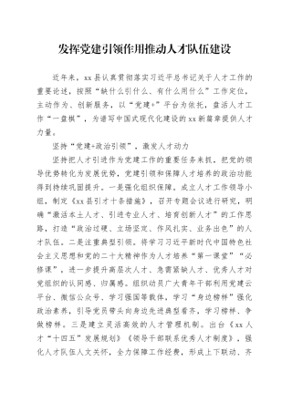 发挥党建引领作用 推动人才队伍建设