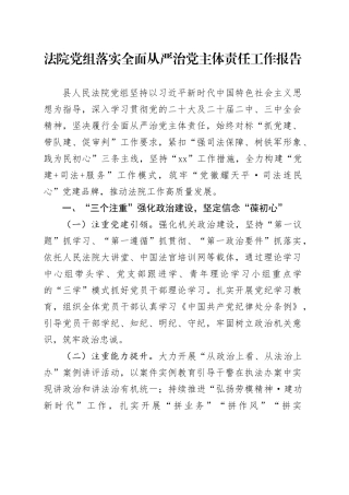 法院党组落实全面从严治党主体责任工作报告20240925