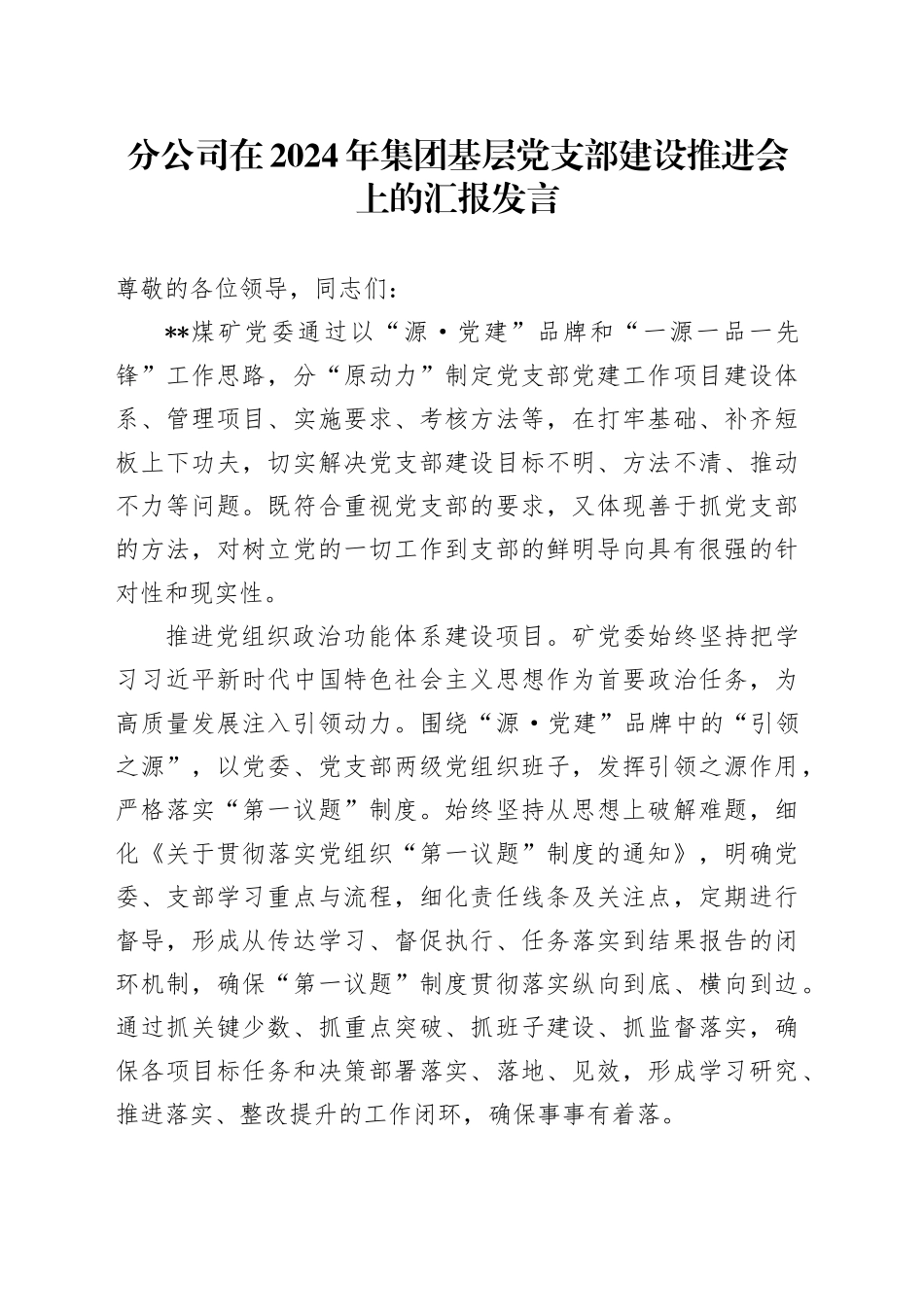分公司在2024年集团基层党支部建设推进会上的汇报发言_第1页