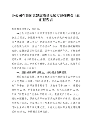 分公司在集团党建高质量发展专题推进会上的汇报发言