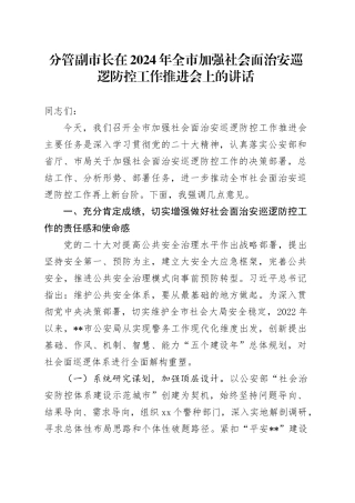 分管副市长在2024年全市加强社会面治安巡逻防控工作推进会上的讲话