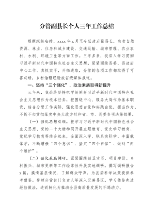 分管副县长个人三年工作总结述职报告汇报20241025