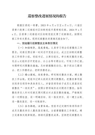 妇联巡察整改进展情况的报告（2900字总结）