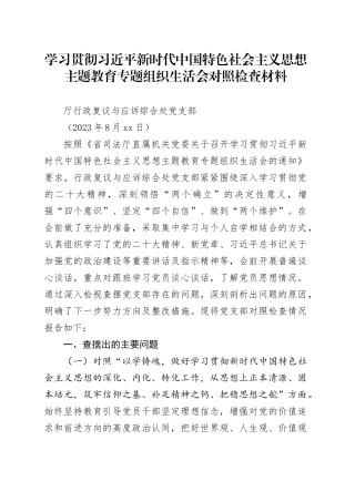 复议综合支部2023年度主题教育组织生活会党支部班子对照检查材料