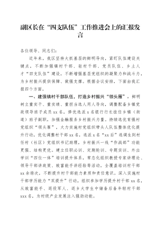 副区长在“四支队伍”工作推进会上的汇报发言