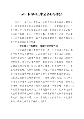 副市长学习三中全会心得体会