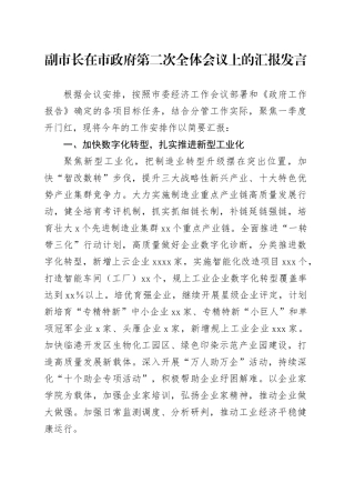 副市长在市政府第二次全体会议上的汇报发言