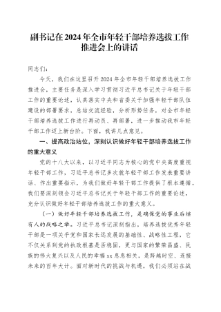 副书记在2024年全市年轻干部培养选拔工作推进会上的讲话