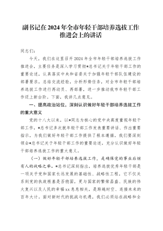 副书记在全市年轻干部培养选拔工作推进会上的讲话