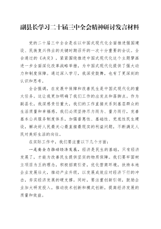 副县长学习二十届三中全会精神研讨发言材料心得体会20241023