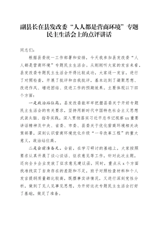 副县长在县发改委“人人都是营商环境”专题民主生活会上的点评讲话