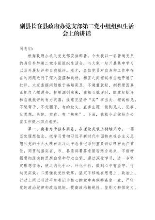 副县长在县政府办党支部第二党小组组织生活会上的讲话（双重）
