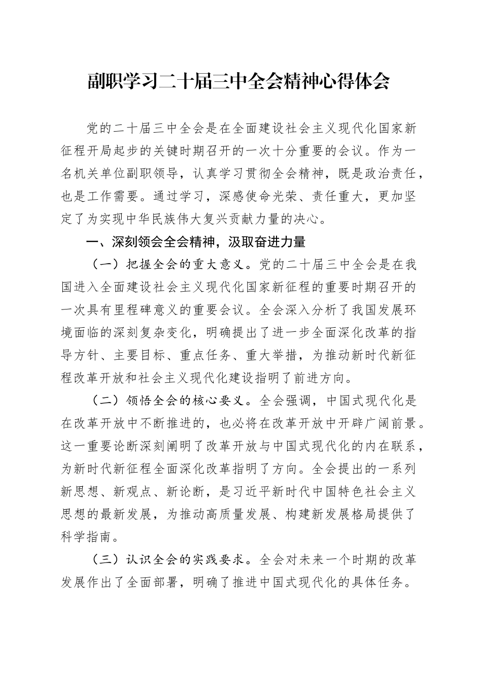 副职学习二十届三中全会精神心得体会研讨发言材料届班子成员分管领导20240726_第1页