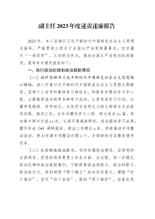 副主任2023年度述责述廉报告