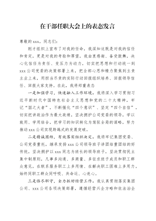 干部任职大会上的表态发言