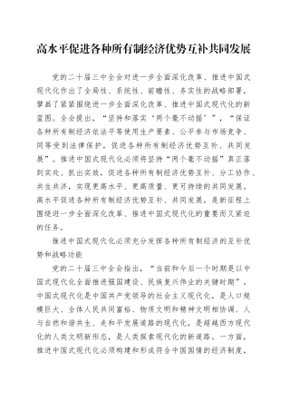 高水平促进各种所有制经济优势互补共同发展