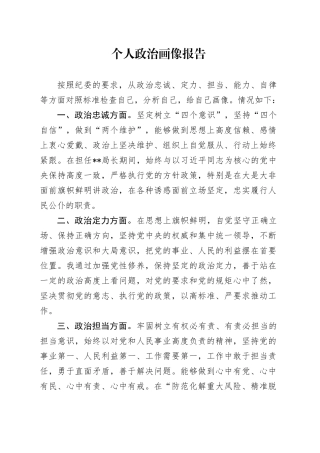 个人政治画像报告（2）