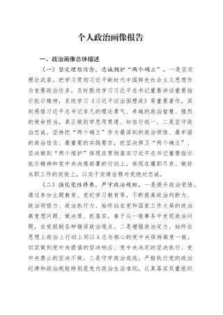 个人政治画像报告3400字