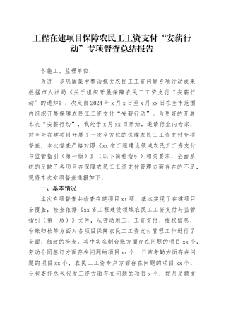 工程在建项目保障农民工工资支付“安薪行动”专项督查总结报告