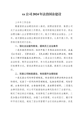 公司2024年法治国企建设上半年工作报告