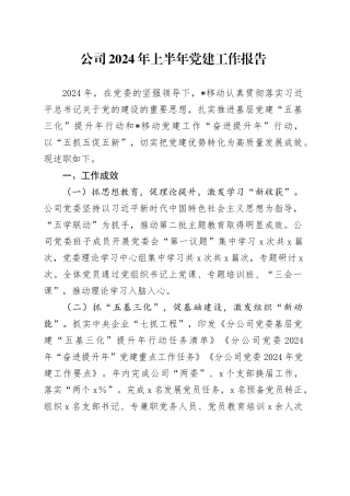 公司2024年上半年党建工作报告