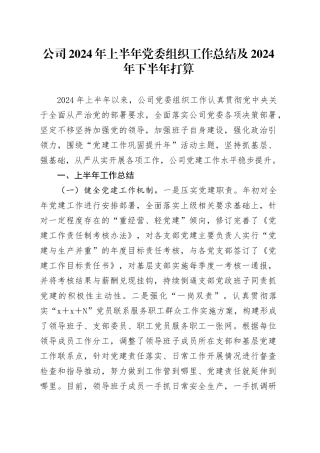 公司2024年上半年党委组织工作总结及2024年下半年打算