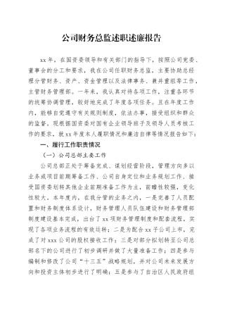 公司财务总监述职述廉报告4900字