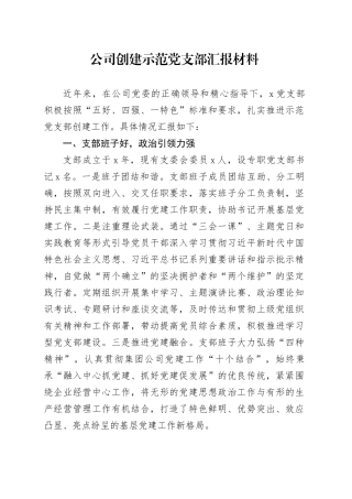 公司创建示范党支部汇报材料