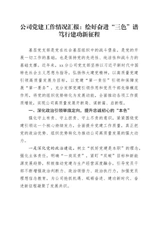 公司党建工作情况汇报：绘好奋进“三色”谱 笃行建功新征程