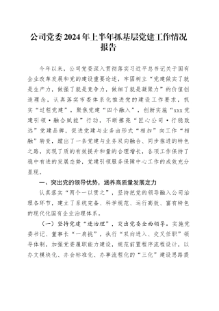 公司党委2024年上半年抓基层党建工作情况报告