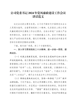 公司党委书记2024年党风廉政建设工作会议讲话20240325
