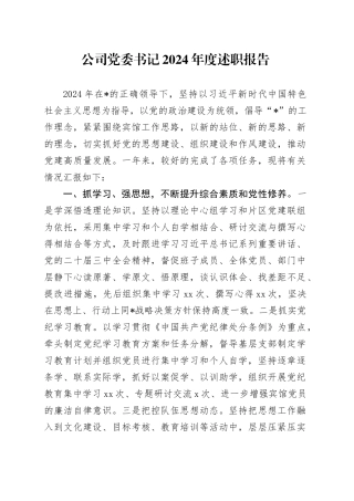 公司党委书记2024年度述职报告
