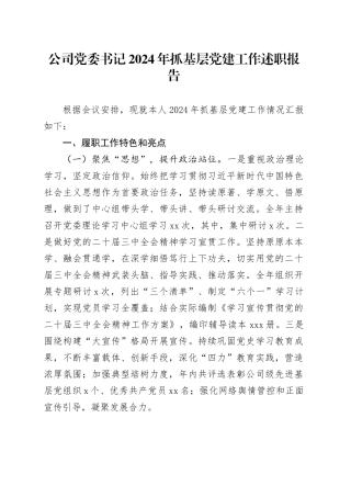 公司党委书记2024年抓基层党建工作述职报告