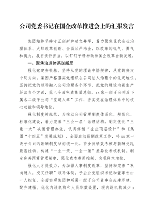 公司党委书记在国企改革推进会上的汇报发言