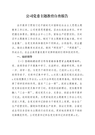 公司党委主题教育自查报告