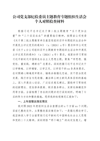 公司党支部纪检委员主题教育专题组织生活会个人对照检查材料