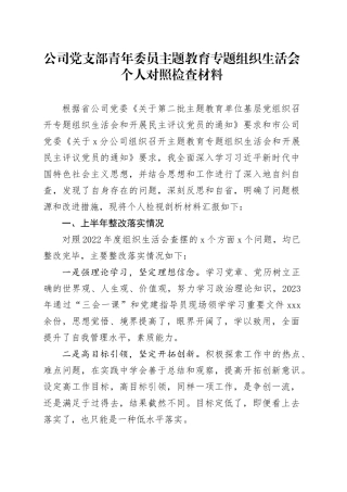 公司党支部青年委员主题教育专题组织生活会个人对照检查材料