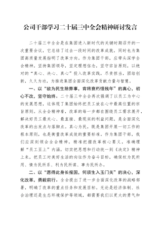 公司干部学习二十届三中全会精神研讨发言