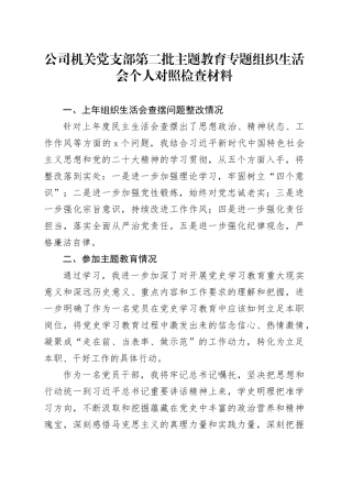 公司机关党支部第二批主题教育专题组织生活会个人对照检查材料