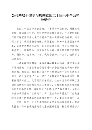 公司基层干部学习贯彻党的二十届三中全会精神感悟