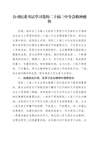 公司纪委书记学习党的二十届三中全会精神感悟