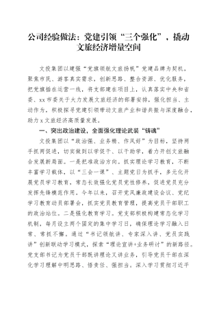 公司经验做法：党建引领“三个强化”，撬动文旅经济增量空间